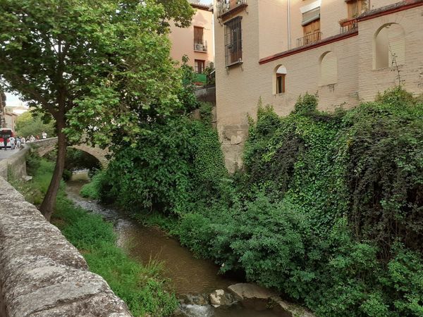 Romantische Spaziergänge am Flussufer