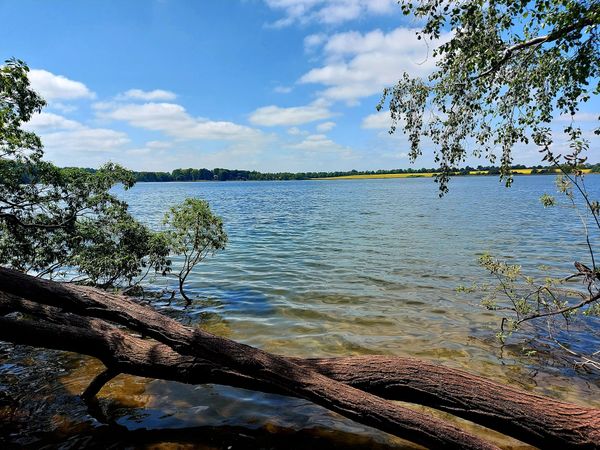 Naturerlebnis an der Pönitzer Seenplatte