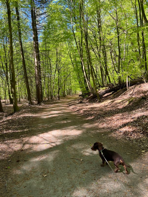 Naturerlebnis in Deutschlands größtem Binnen-Nationalpark