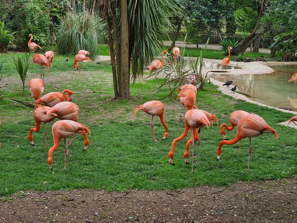 Tierische Begegnungen für die ganze Familie