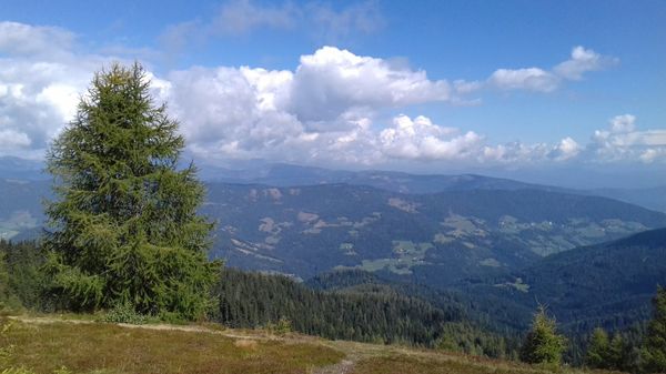 Wandern und Fliegen über Kärnten