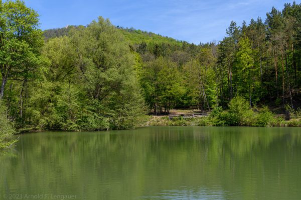 Abenteuer und Naturerlebnis für die ganze Familie im ältesten Naturpark