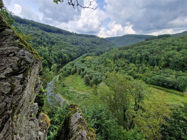 Natur pur auf dem Wanderweg