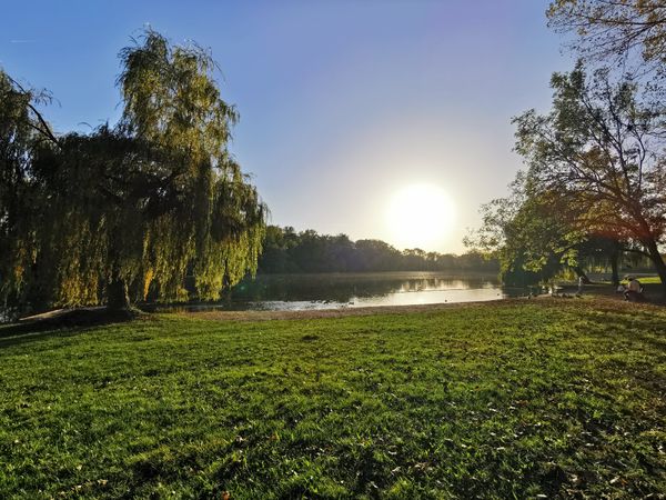 Erkunde die atemberaubenden Donauauen