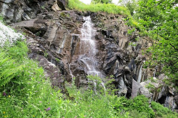 Ein grünes Paradies der Pflanzenwelt