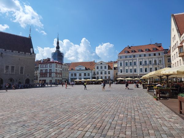 Herzstück Tallinns entdecken