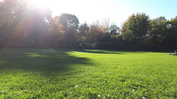 Idyllischer Park für Familienpicknicks