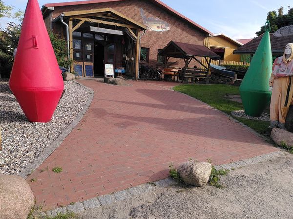 Frischer Fisch direkt vom Fischer