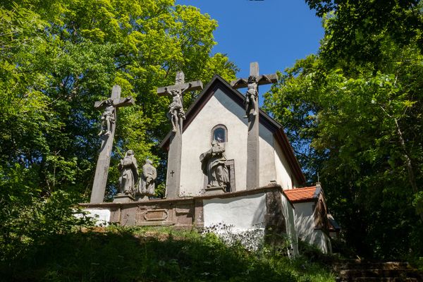 Auf den Spuren der Natur