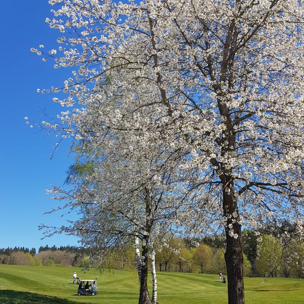 Perfekter Schwung in idyllischer Natur