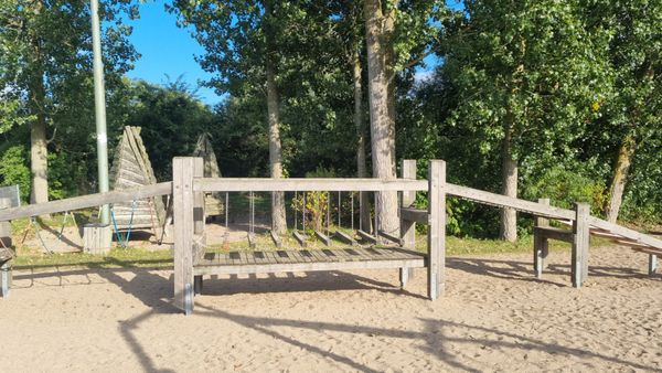 Naturwissenschaft spielerisch am Strand erleben