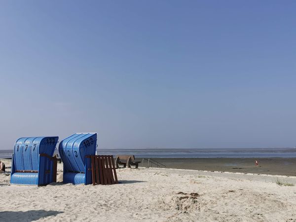 Spaß für Vierbeiner am Meer