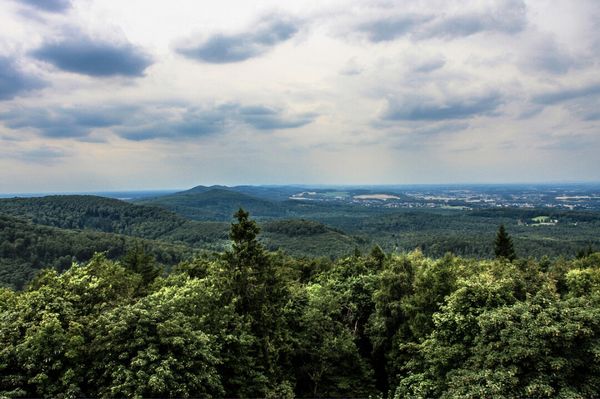 Abenteuer im mystischen Wald