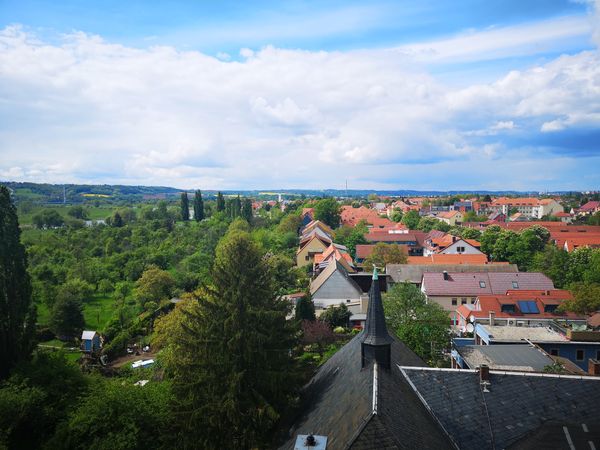 Wein und Kultur am Elbhang