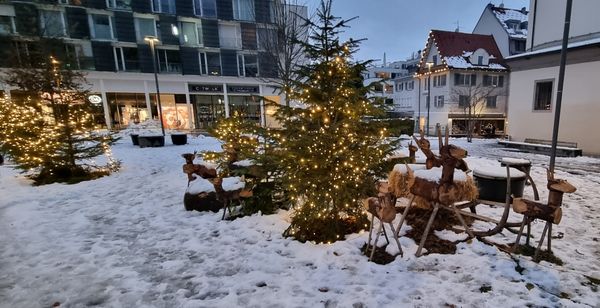 Lebhaftes Stadtflair genießen