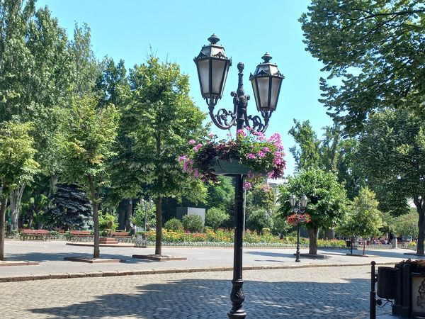 Lebendige Straße voller Überraschungen