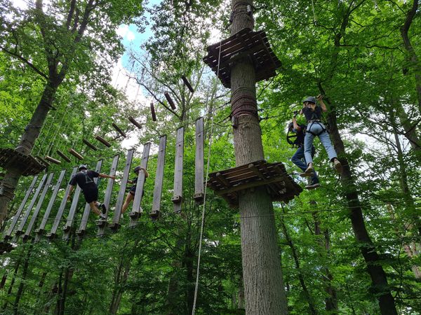 Kletterspaß im Grünen