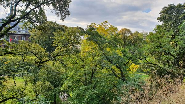 Grüne Oase mit Spielplatz