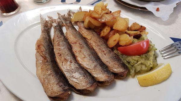 Uriges Ambiente mit Fischküche