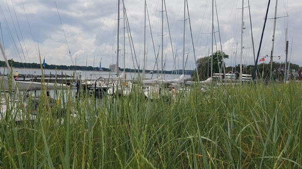 Maritimes Flair am Hafen genießen