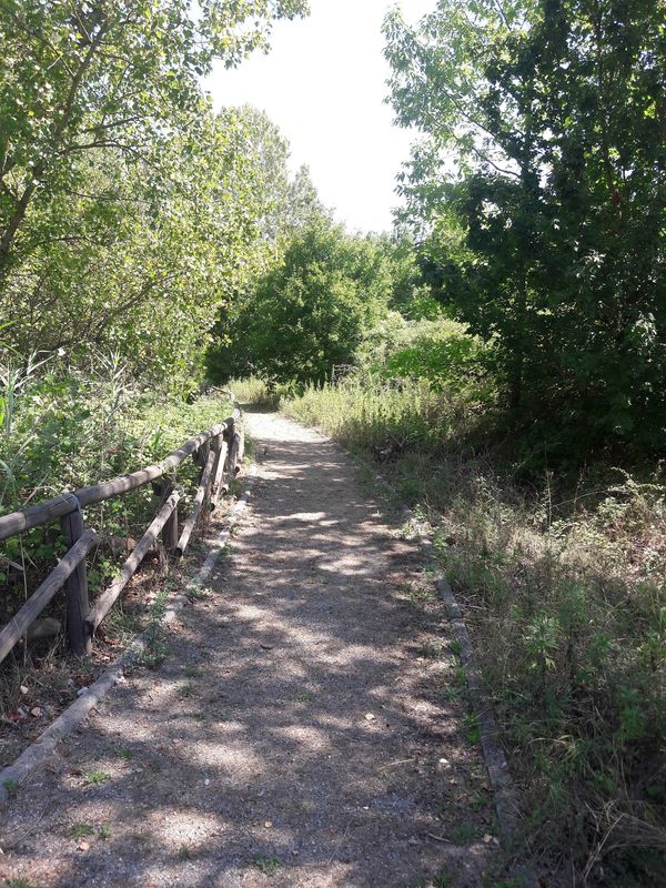 Entdecke unberührte Natur in Arnovecchio
