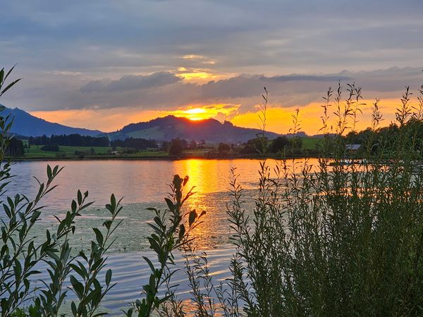Erfrischende Kneipp-Kur im Freien