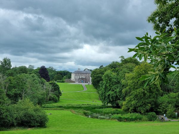 Wildtiere & Pflanzen im historischen Park