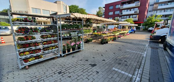 Frische lokale Produkte direkt vom Erzeuger