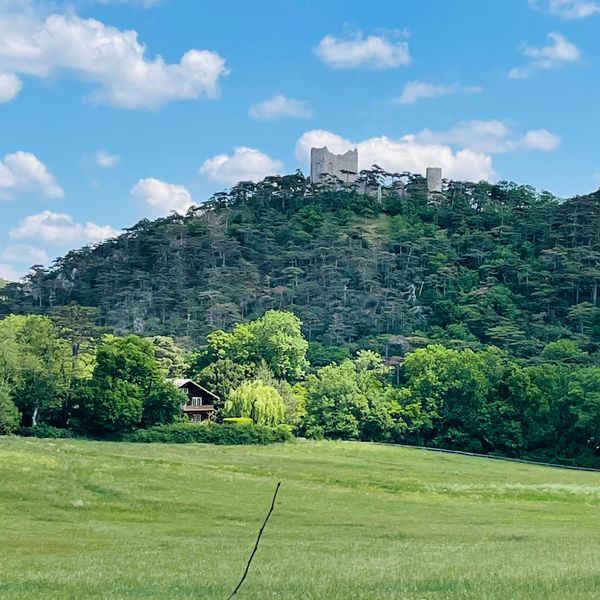 Perfekter Ort für ein entspanntes Picknick