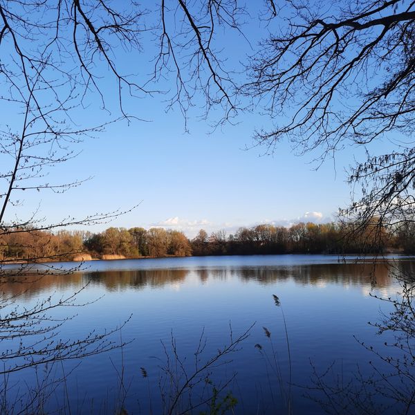 Entspannung und Natur im größten Park der Stadt