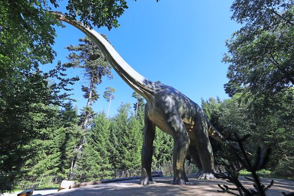 Jurassic Park hautnah erleben