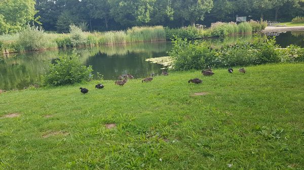 Familienausflug in die Natur