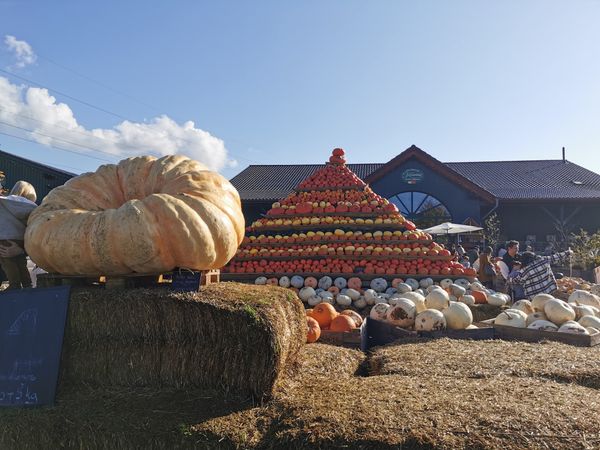 Frische Landluft und leckere Hofprodukte