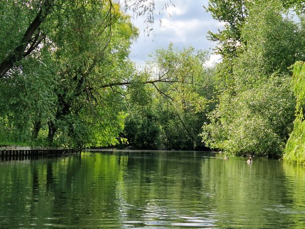 Ein idyllisches Punting-Abenteuer