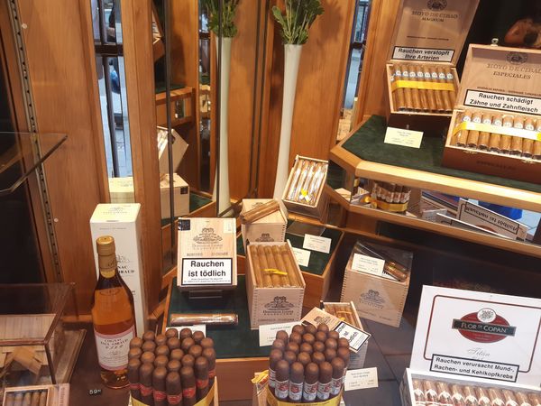 Karibisches Flair mitten in Bratislava