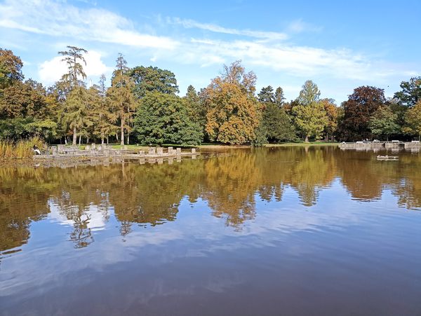 Genießen Sie Ruhe und Schönheit im Herzen der Stadt