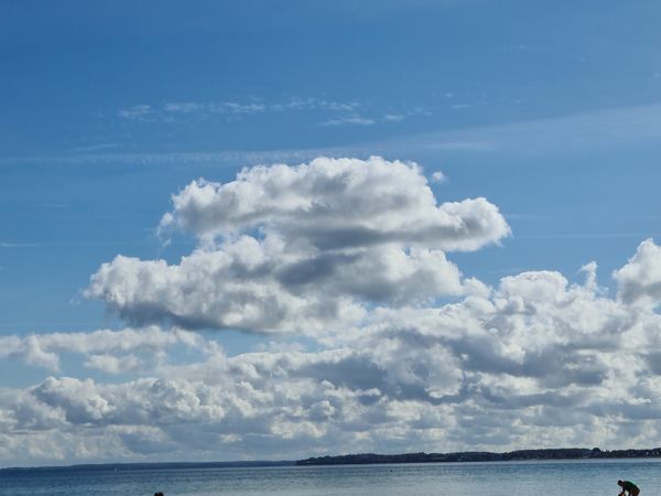 Strandspaß für Vierbeiner