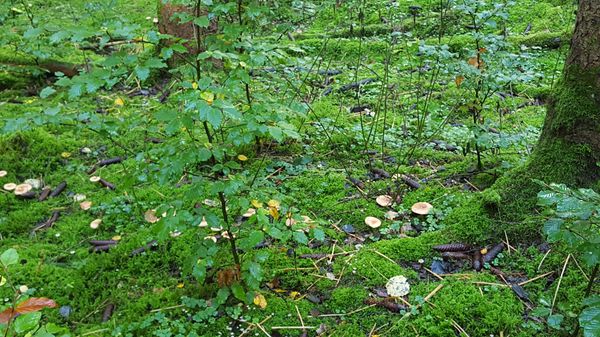 Wandern im Naturparadies