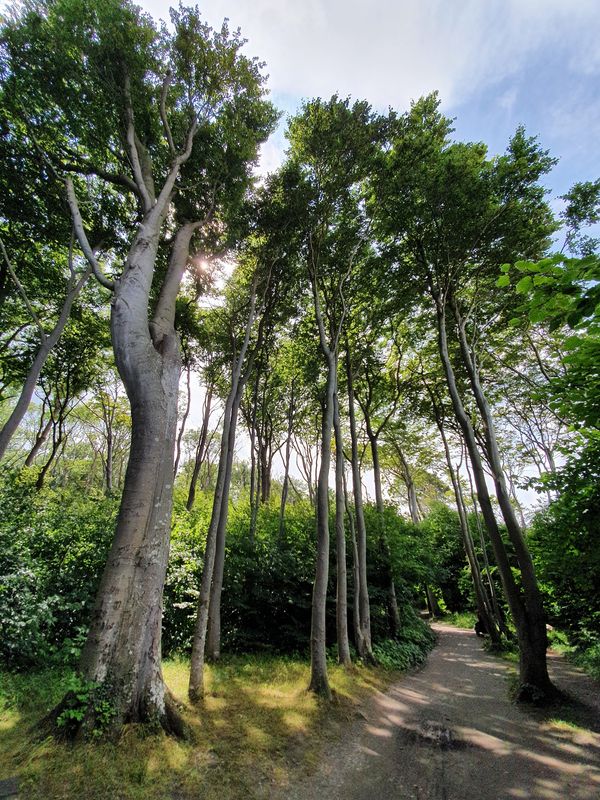 Mystische Atmosphäre beim Wandern