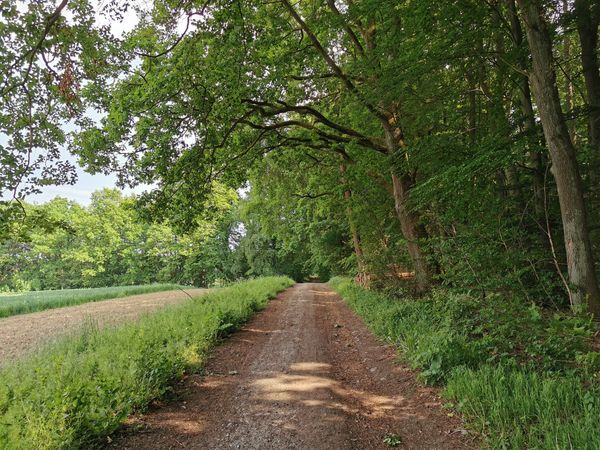 Wanderabenteuer im Hausgebirge der Hannoveraner