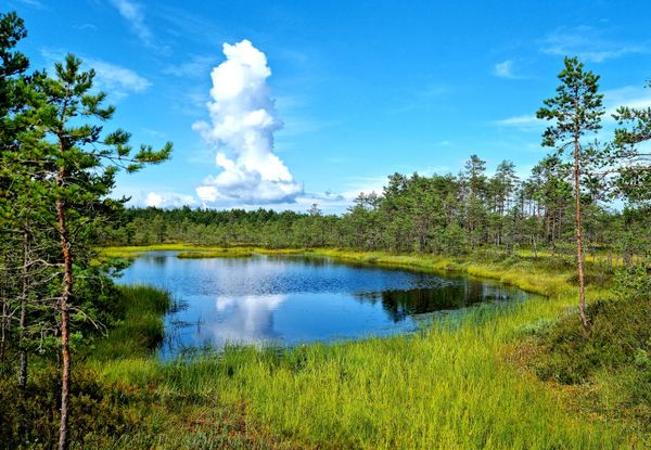 Abenteuer im Lahemaa Nationalpark