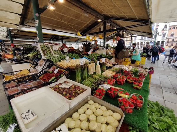 Lebhaftes Treiben und frische Delikatessen