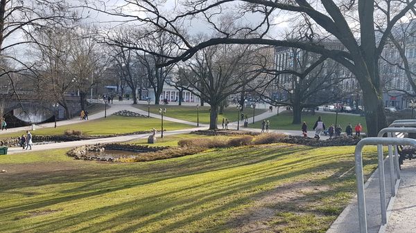 Grüne Oase in der Stadtmitte