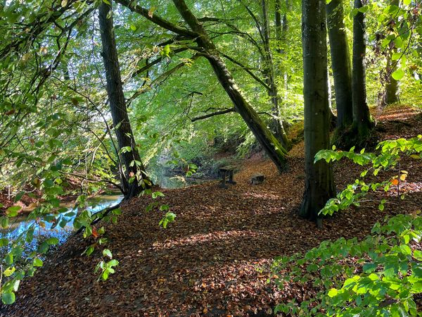 Naturerlebnis am Wasser