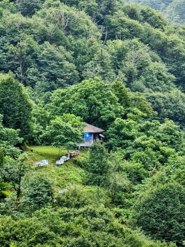 Abenteuer in Georgiens Wildnis
