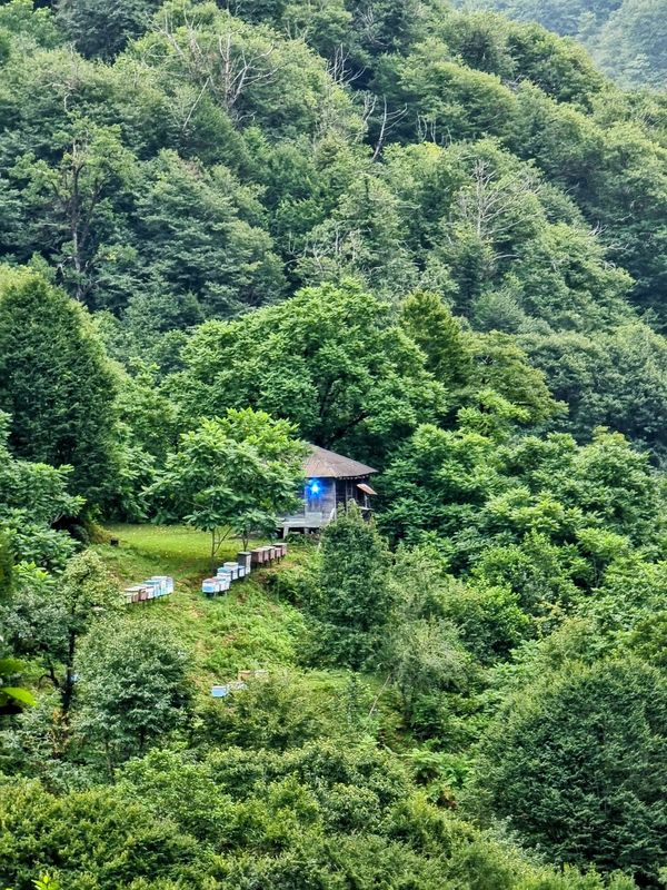 Abenteuer in Georgiens Wildnis