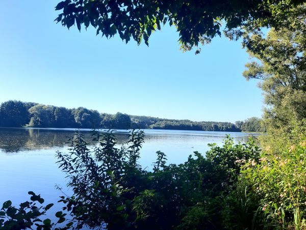 Speisen mit Seeblick in entspannter Atmosphäre