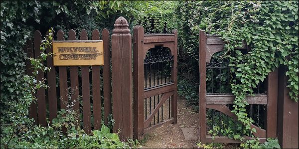Wildtierrefugium auf Friedhof