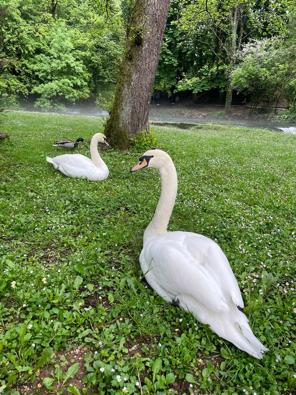 Frische Luft und Natur pur