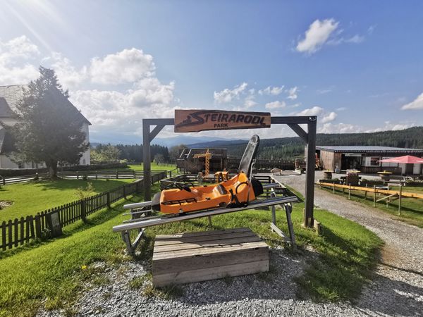 Adrenalin pur auf der Sommerrodelbahn